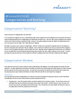 BatchingandCategorizationKB01132015